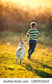 Little Boy Running On The Field With His Dog.