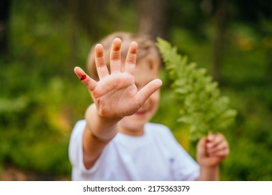 The little boy shows his hand, he cut his finger visible blood. The child was injured when he tore a fern in the forest. Selective focus.