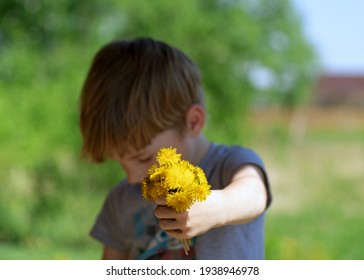 Little Boy, Son Gives Mom Bunch Of Yellow Dandelions, Head Down In Shame