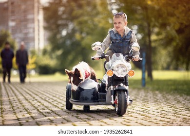 Little Boy Standing On Motorcycle Toy With Sidecar And Dog In It