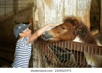 little boy is stroking a horse through a fence in a stable - Powered by Shutterstock