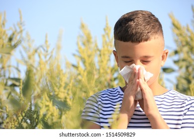 Little Boy Suffering From Ragweed Allergy Outdoors