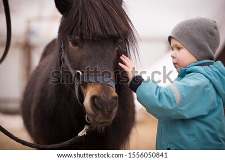 A little boy in turquoise overalls stroking an Icelandic pony horse with a funny forelock. The kid thanks the horse after hippotherapy. Brown pony looking at the camera