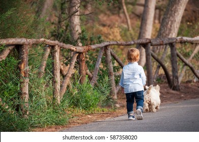 Little Boy Walking With A Dog In The Park.