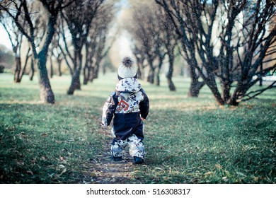 Little boy walking in forest