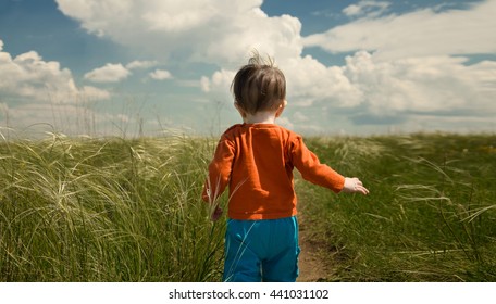 Little Boy Walking Through The Field