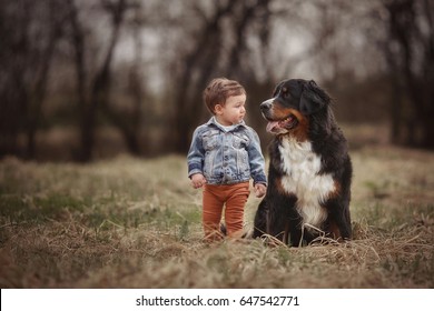 A Little Boy Walks With The Dog In The Woods