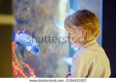Little boy watches fishes in aquarium. Child exploring nature. Elementary student is on excursion in seaquarium. Biology lessons.