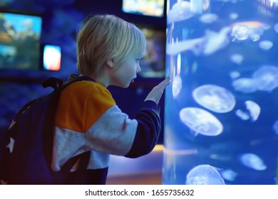 Seaaquarium Images, Stock Photos & Vectors | Shutterstock