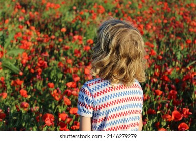 Little boy are watching the field of crimson clovers in a spring landscape. Trifolium incarnatum. Beautiful red color. An idyllic view, hills, forest on the horizon. Blue sky, clouds.