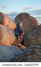 The Little Boy, Wearing Autumn Clothes And A Grandmother's Knitted Hat, Plays Outside On A Pile Of Soft Straw Bales On An Autumn Evening.