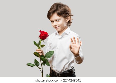 Little Boy Wearing a White Shirt Holding a Single Red Rose Flower Smiling and Waving with his Hand. Romantic or Saint Valentines Day Concept