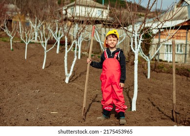 A Little Boy Works In A Vegetable Garden. The Boy Stands In The Garden With A Shovel. Child Digging.