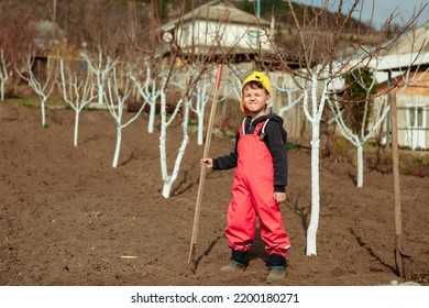 A Little Boy Works In A Vegetable Garden. The Boy Stands In The Garden With A Shovel. Child Digging.