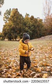 Little Boy In Yellow  Jacket Playing With Autumn Fallen Leaves In Park. Child Laughing Throwing Up Orange Maple Leaves.