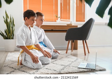 Little Boys Studying Karate Online At Home