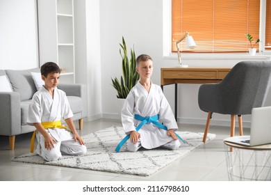 Little Boys Studying Karate Online At Home