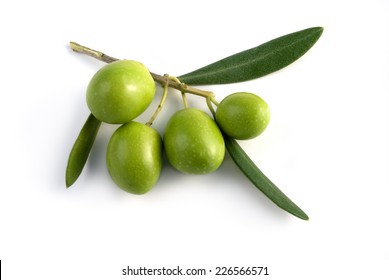 Little Branch Of Green Olives Isolated