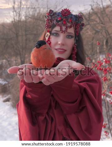 Little bullfinch on the palms of a woman in a red dress