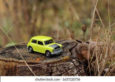 Little car in the woods