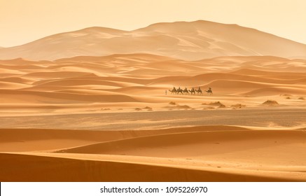 little caravan riding by desert between dune in Morocco