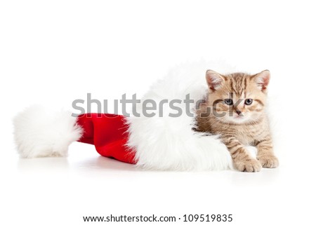 Similar – Image, Stock Photo Santa hats with eyes