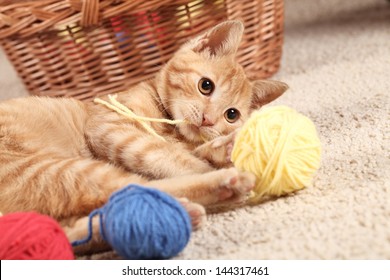 Little Cat Playing With Wool On The Carpet