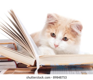 Little Cat Read A Book