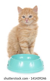 Little Cat Sitting Behind A Bowl Isolated On White