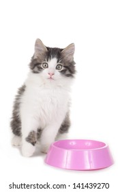 Little Cat Sitting Behind A Bowl Isolated On White