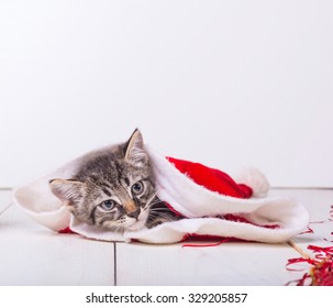 Little Cat Sleeping On The Red Santa's  Hat  On White Desk