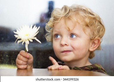 Portrait Of A Boy With Blond Hair And Blue Eyes Images Stock