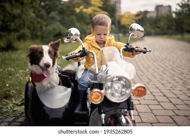 Little Caucasian Boy Driving A Dog In Sidecar Of Electrical Toy Motorcycle,