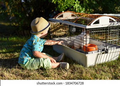 Little Caucasian Child Boy Wearing A Hat, Watching A Pet Rabbit In Its Cage In A Garden At Sunset. 