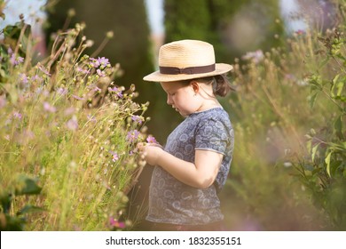 Little caucasian girl in cosmos flower garden.