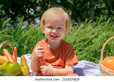 Little Cheerful Blond Boy In A Green Field Sits On A Picnic Mat Next To Fruit Baskets And Eats Carrots, Vitamins, Baby Food, Healthy Lifestyle, Happy Childhood, Garden And Harvest, Sun Bathing, Immune