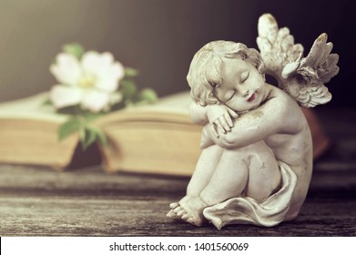 Little cherub sleeping. Angel, flower and book on wooden background	