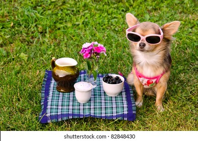 Picnic Funny Images Stock Photos Vectors Shutterstock