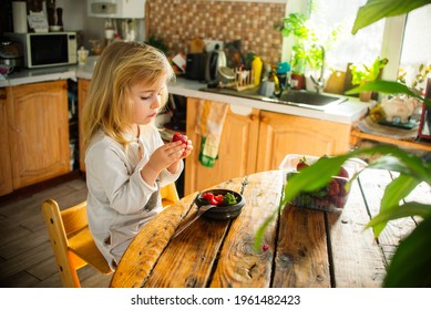 Little Child Girl Eats Fresh Ripe Strawberries In The Morning At Breakfast. Home Garden, Healthy Food, Child's Diet.