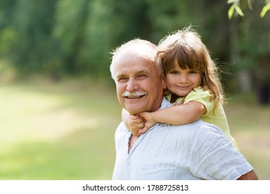 Little child girl hugs grandpa On Walk in the summer outdoors. Concept of friendly family.
