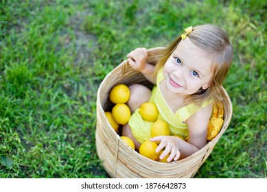 Little Child Girl With Lemons At Lemonade Stand In Park. Portrait Of Funny Baby In Basket With Fruits. Vitamins And Healthy Food. Useful Citrus Fruits As Prevention Of Viral And Respiratory Diseases.