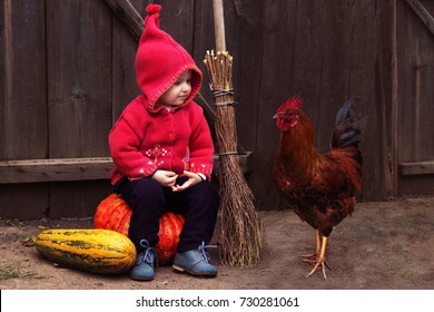 chickens witch it