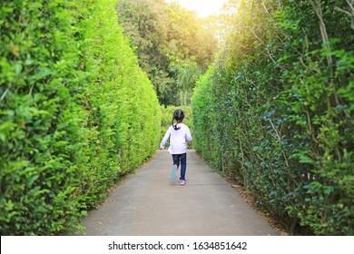 Little Child Girl Running Forward Into Garden Maze. Kid Playing In Labyrinth For Fun And Entertainment. Back View.