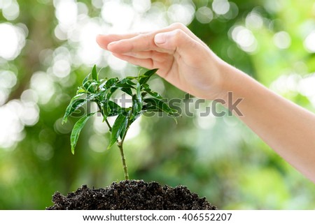 Little child hand protecting small seedling that growing from black soil. Earthday concept.