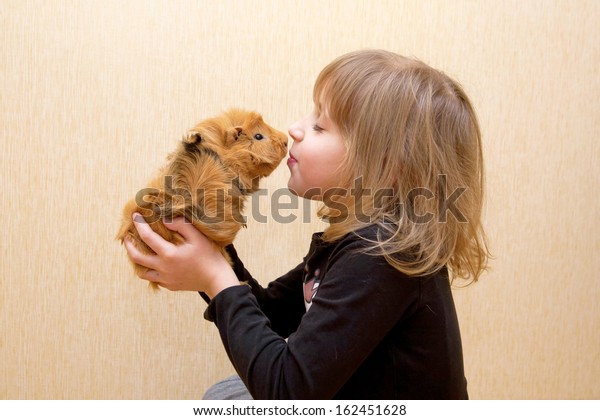 子どもがモルモットにキスをします 動物を愛するというコンセプト の写真素材 今すぐ編集