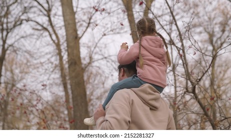 Little Child Sits On His Father Shoulders While Walking In City Park, Kid Rides His Dad, Happy Family Life, Raising Girl As An Adult Parent, Daughter Loves Ride Her Father, Man And Baby Walk Together.