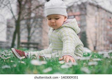 Little Child Sitting In Grass Picking Flowers. Kid In Flower Meadow Reaching Towards Camera For A White Daisy. Toddler Playing Outdoors In Park With Urban City Background On Sunny Day.