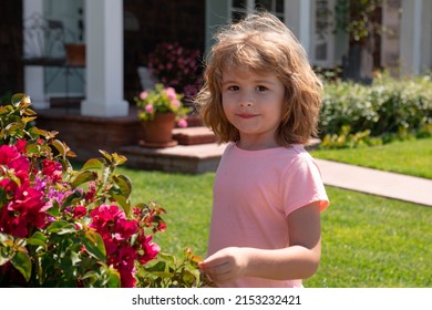 Little Child Is Smelling Flowers On Green Backyard. Adorable Kid On A Summer Meadow And Smelling Flowers. Summer Fun For Family With Kids Outdoors In A Beautiful Spring Garden.
