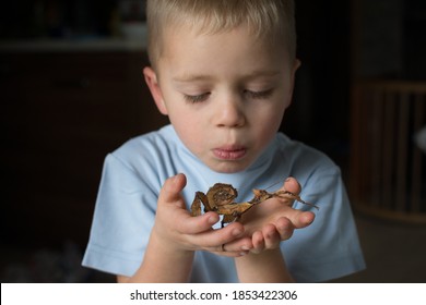 1,464 Mimicry children Images, Stock Photos & Vectors | Shutterstock