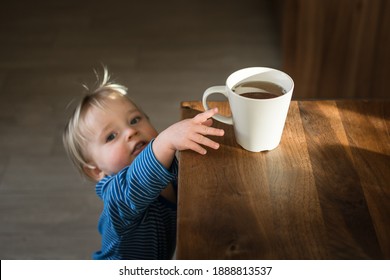 Little Child Try To Grab Cup Of Hot Tea On The Table. Attention Hot Content Concept.